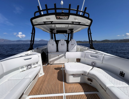 WELLCRAFT 38 T-TOP