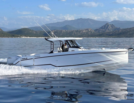 WELLCRAFT 38 T-TOP